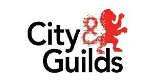 Energy advised qualified city and guilds